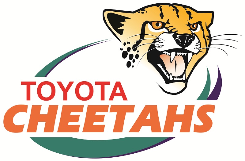 logo cheetahs 800x500