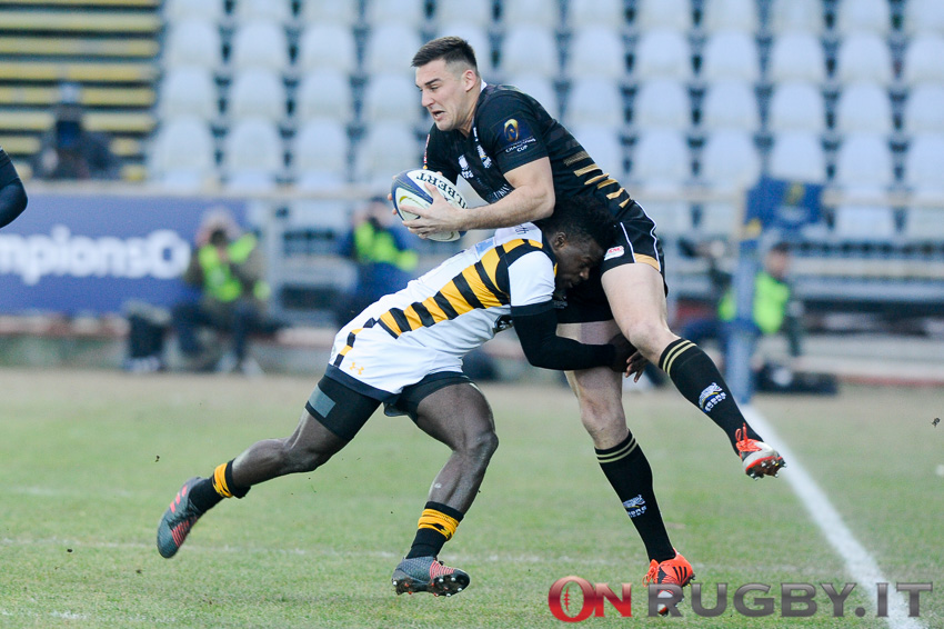 zebre rugby champions cup
