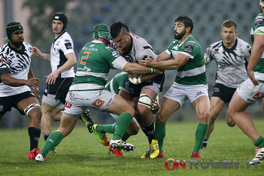 pro12 benetton treviso zebre rugby