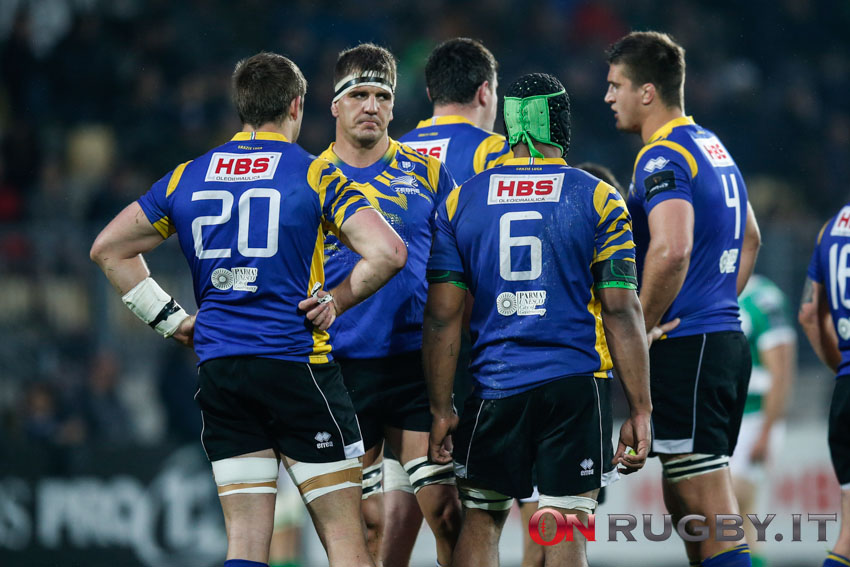 zebre rugby pro12