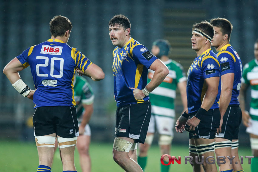 zebre rugby