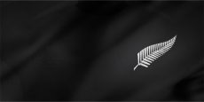 item-thumbnail