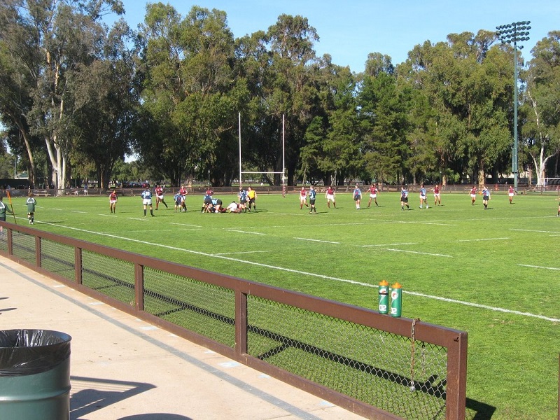 Campo rugby