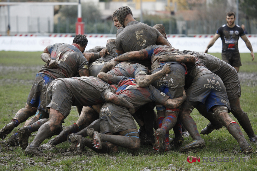 Rovigo cavalieri