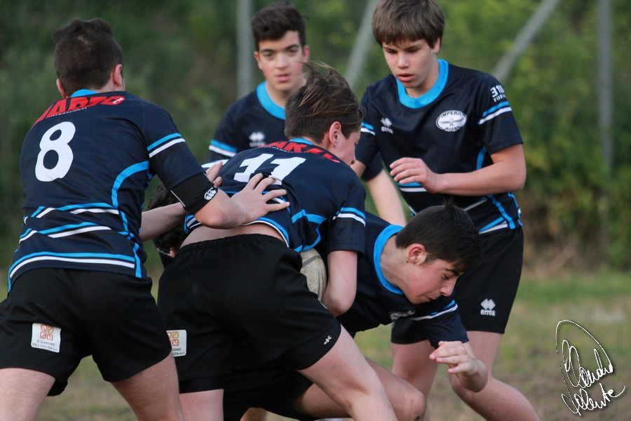 imperia under 16
