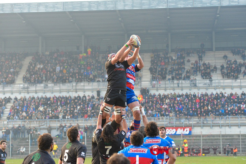 petrarca rovigo
