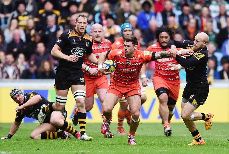 leicester wasps