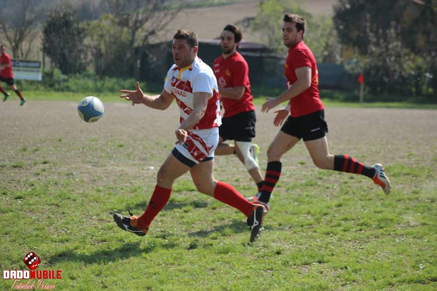 noceto pesaro