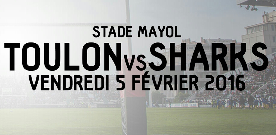 tolone sharks