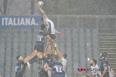 zebre rugby worcester