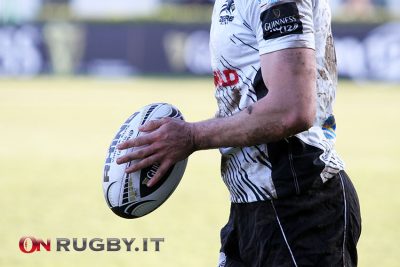 zebre rugby