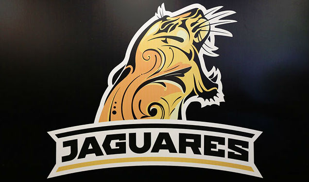 Los Jaguares super rugby
