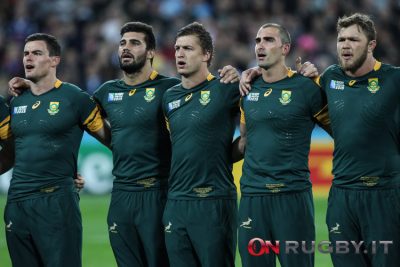 sudafrica springboks