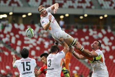 cheetahs super rugby