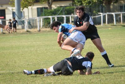 mogliano petrarca padova