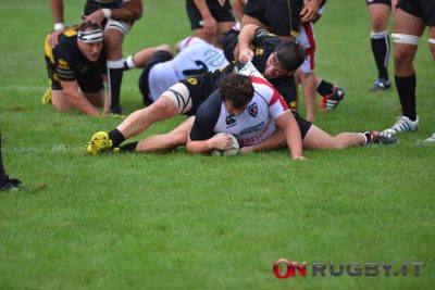 viadana petrarca eccellenza