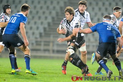 zebre rugby leinster