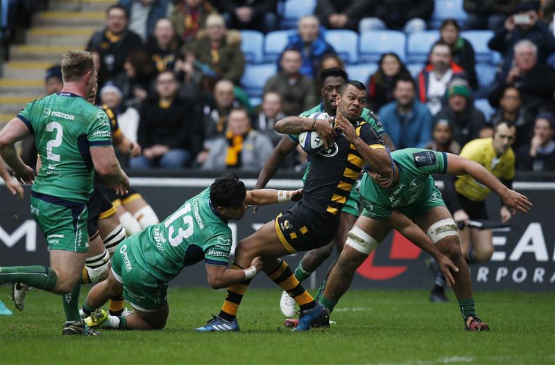 wasps beale champions cup