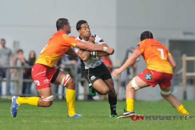 zebre rugby scarlets