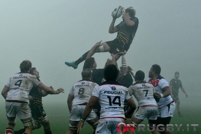 zebre rugby tolosa champions cup