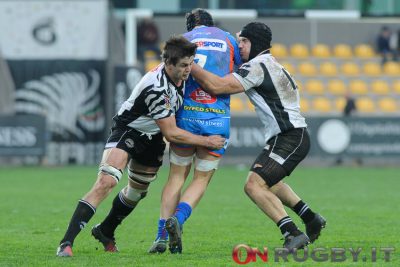 zebre rugby scarlets
