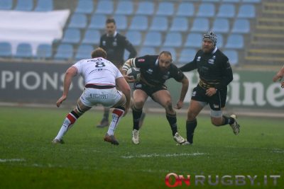 zebre rugby tolosa d'apice