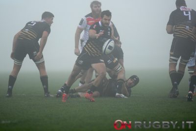 zebre tolosa champions cup