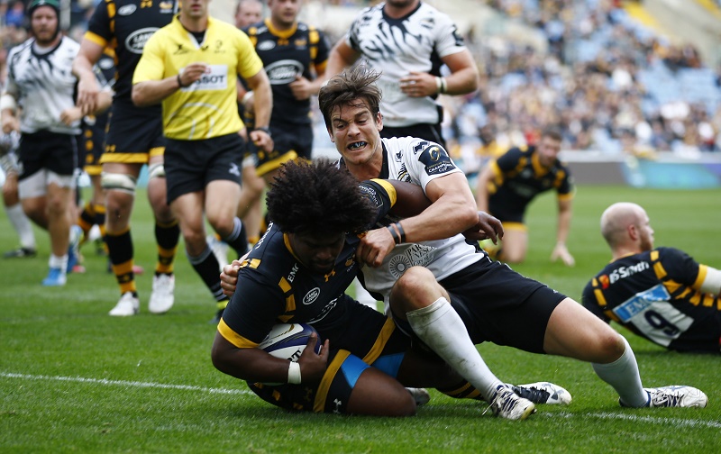 wasps zebre rugby champions cup