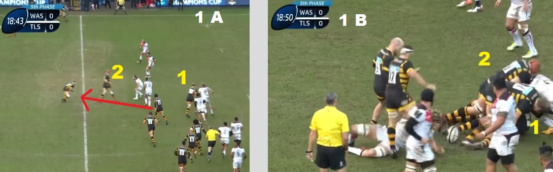 wasps rugby