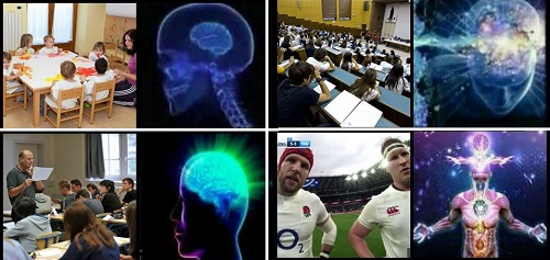 rugby social