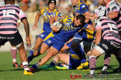 zebre rugby palazzani