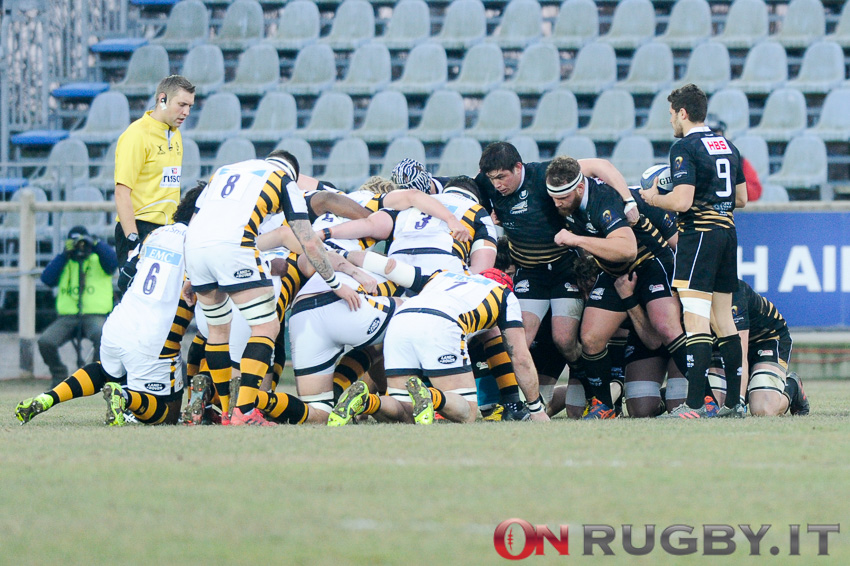 zebre rugby pro12