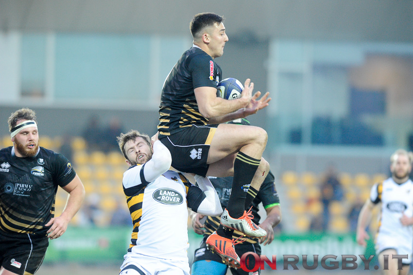 zebre rugby pro12