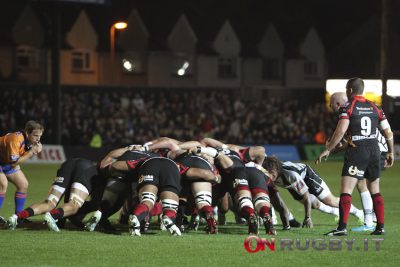 newport dragons pro12 rugby