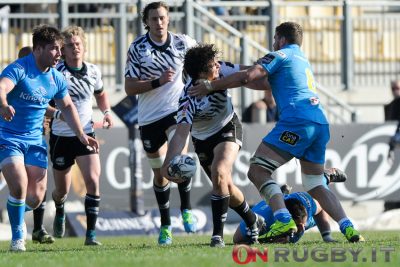 zebre rugby pro12