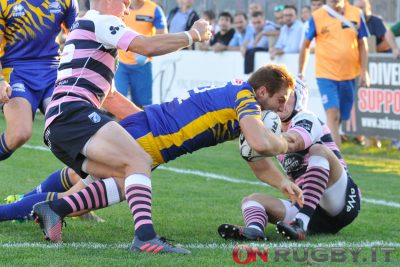 zebre rugby bisegni