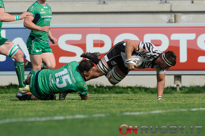 zebre rugby pro12