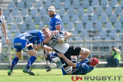 zebre rugby pro12