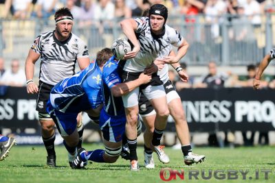 zebre rugby pro12