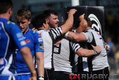 zebre rugby