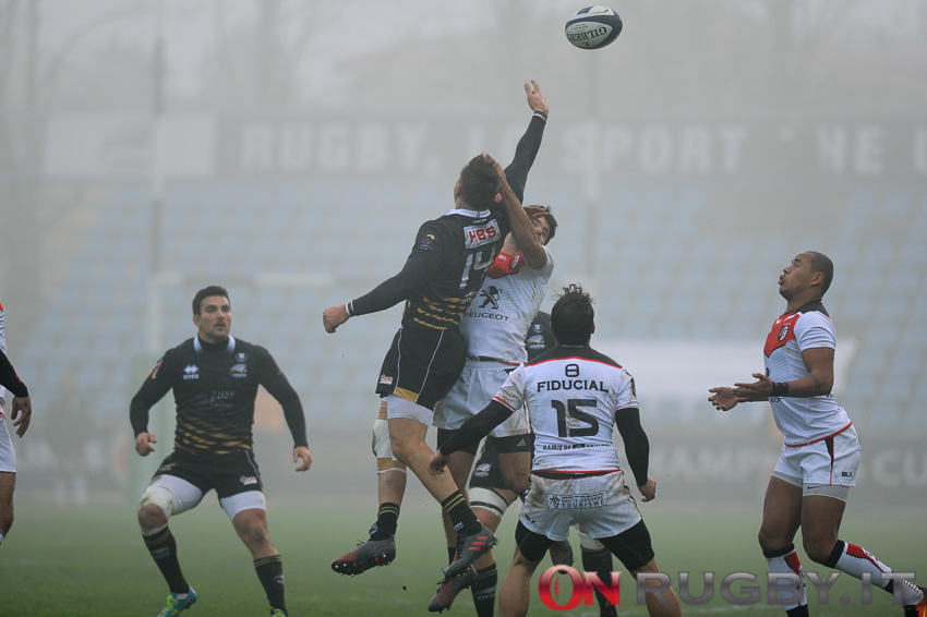 zebre rugby tolosa