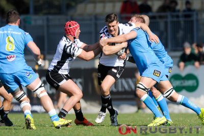 zebre rugby
