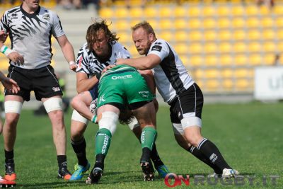 zebre connacht furno chistolini