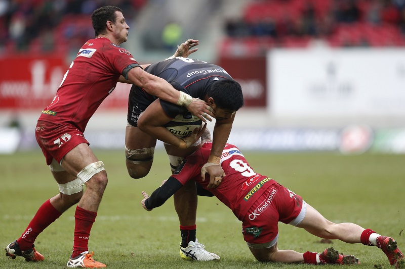 scarlets rugby
