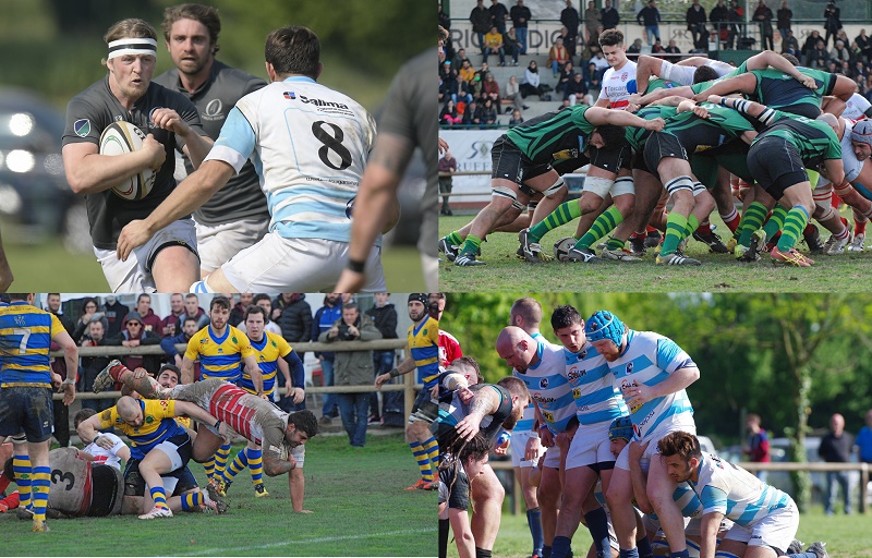 serie a rugby