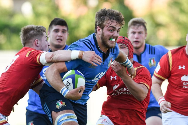 niccolò cannone rugby