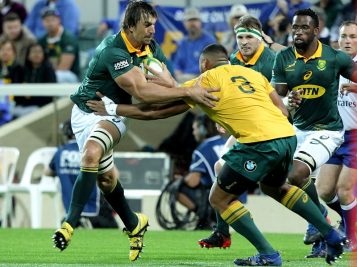 Rugby Championship: ecco il Sudafrica per la quinta giornata
