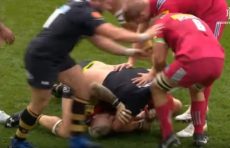 Marler e Haskell, “scambio di opinioni” durante Harlequins-Wasps item-thumbnail