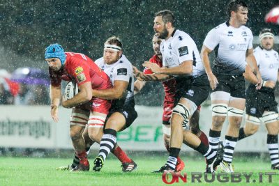 zebre rugby scarlets
