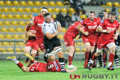 Zebre rugby